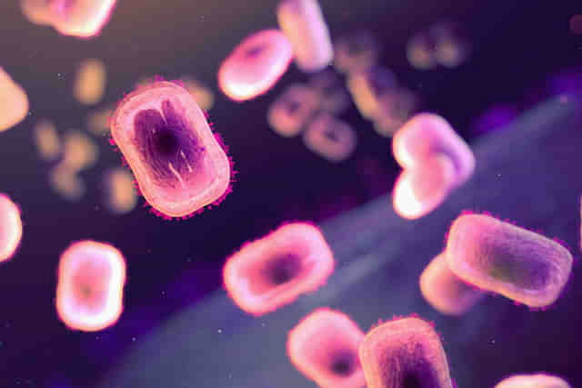 Mpox Virus (Photo by National Institute of Allergy and Infectious Diseases via Unsplash)